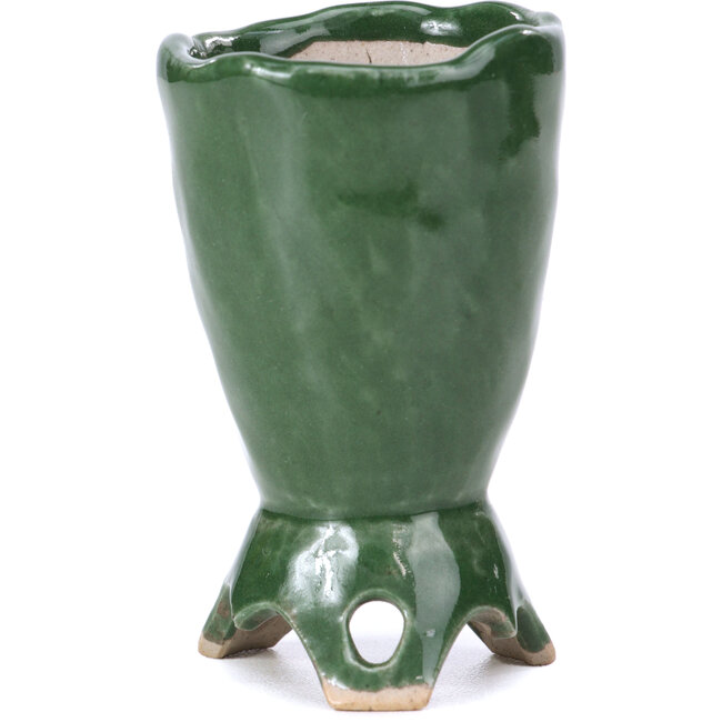 Runde grüne Bonsaischale - 45 x 45 x 70 mm