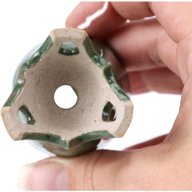 Pot à bonsaï rond vert - 45 x 45 x 70 mm