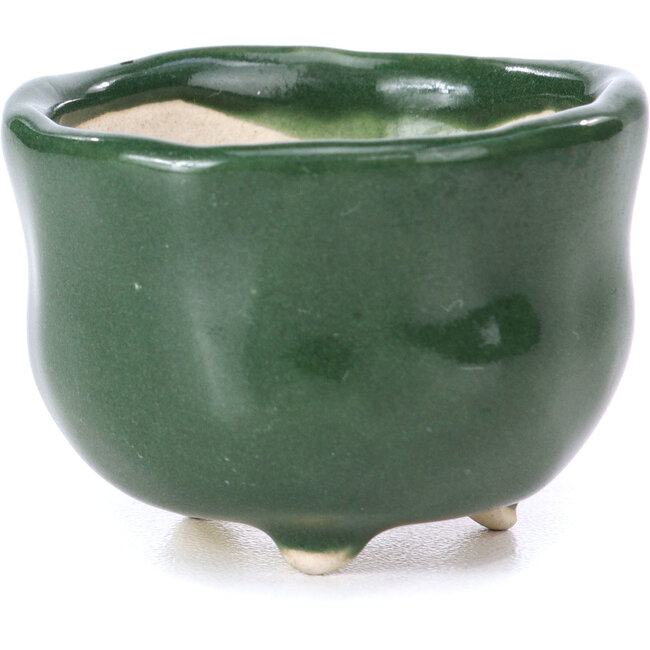 Maceta de bonsái verde redonda - 45 x 45 x 30 mm