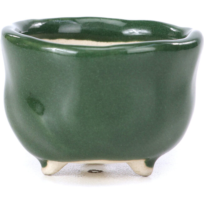 Runde grüne Bonsaischale - 45 x 45 x 30 mm