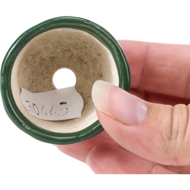 Maceta de bonsái verde redonda - 45 x 45 x 30 mm