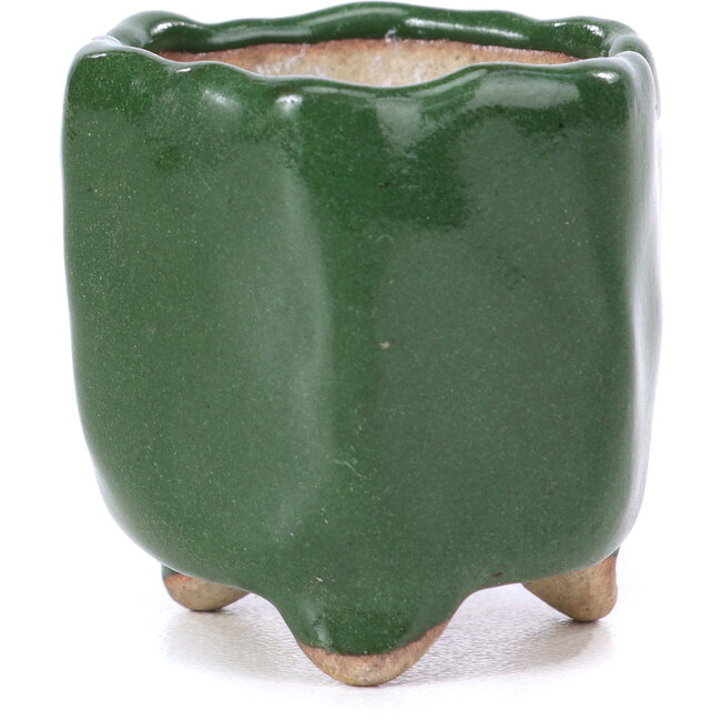 Pot à bonsaï hexagonal vert - 30 x 30 x 30 mm