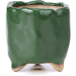  Other Tokoname bonsai pot makers 30 mm hexagonal green pot from Tokoname, Japan