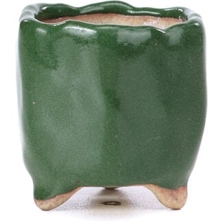  Other Tokoname bonsai pot makers Vaso verde esagonale da 30 mm di Tokoname, Giappone