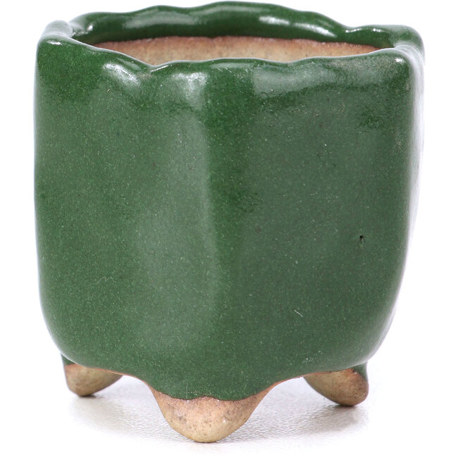 Hexagonal green bonsai pot - 30 x 30 x 30 mm