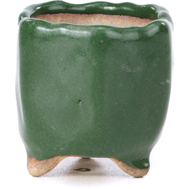 Hexagonal green bonsai pot - 30 x 30 x 30 mm