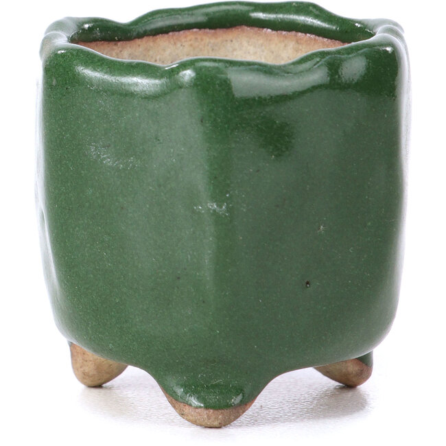 Hexagonal green bonsai pot - 30 x 30 x 30 mm