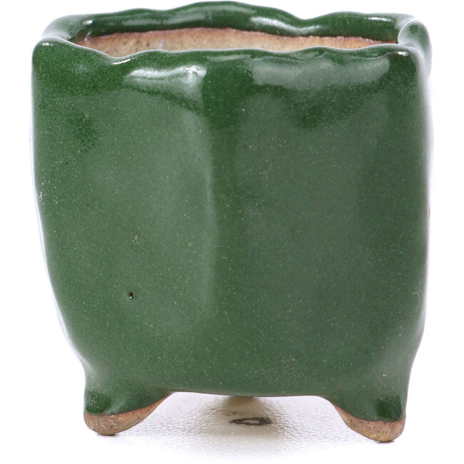 Zeshoekige groene bonsaipot - 30 x 30 x 30 mm