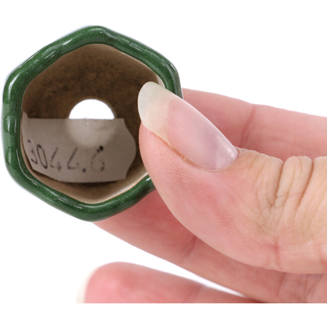 Sechseckige grüne Bonsaischale - 30 x 30 x 30 mm