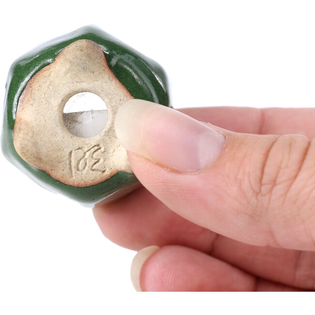 Pot à bonsaï hexagonal vert - 30 x 30 x 30 mm