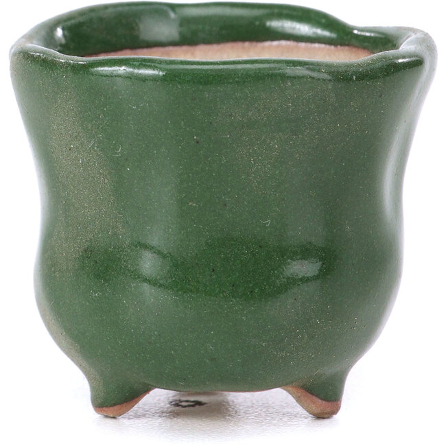 Maceta de bonsái verde redonda - 36 x 36 x 33 mm