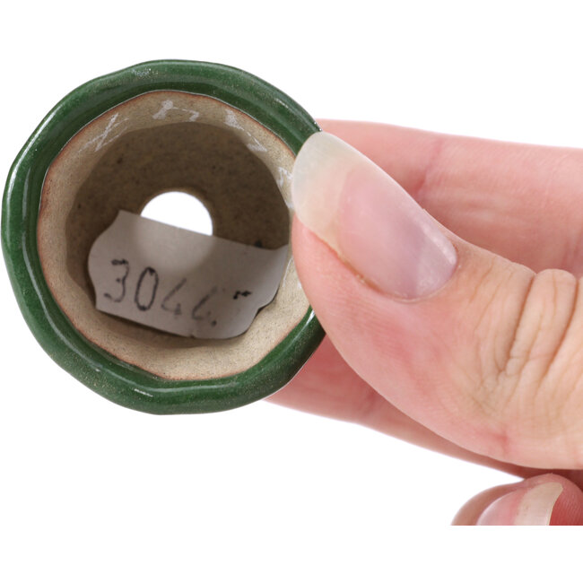 Pot à bonsaï rond vert - 36 x 36 x 33 mm