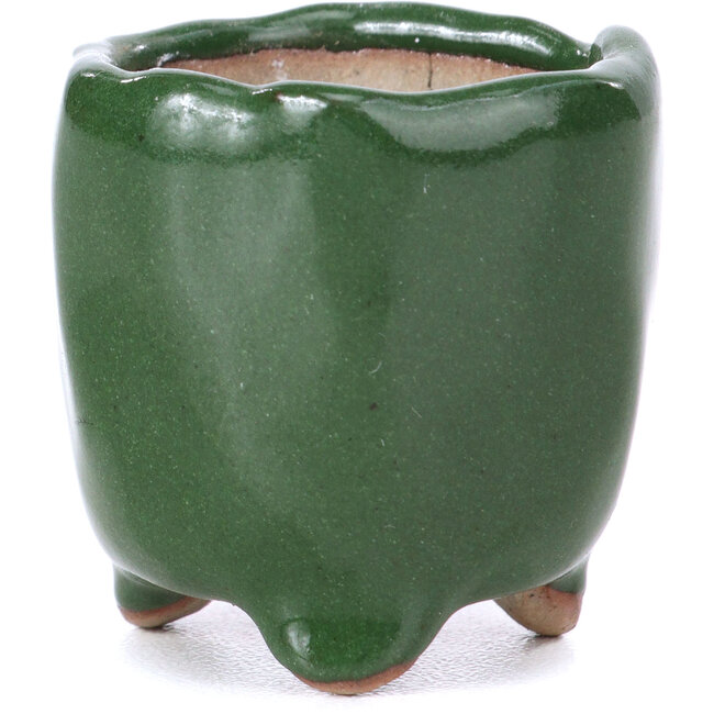 Vaso per bonsai esagonale verde - 30 x 30 x 30 mm