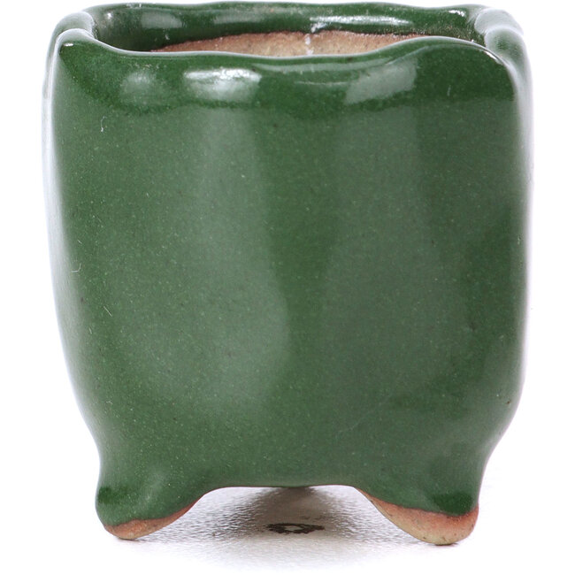 Vaso per bonsai esagonale verde - 30 x 30 x 30 mm