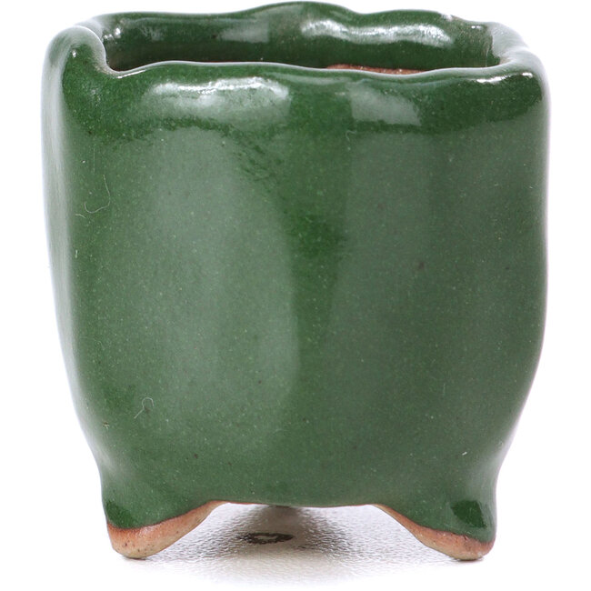 Maceta de bonsái verde hexagonal - 30 x 30 x 30 mm