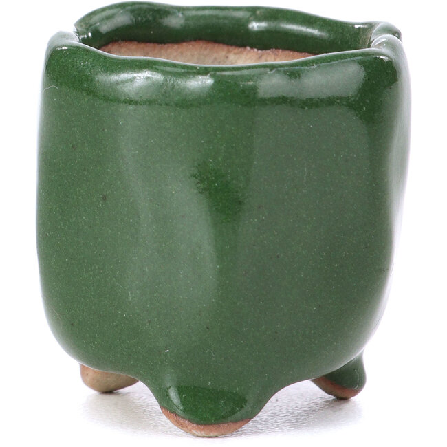 Maceta de bonsái verde hexagonal - 30 x 30 x 30 mm