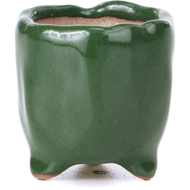 Pot à bonsaï hexagonal vert - 30 x 30 x 30 mm