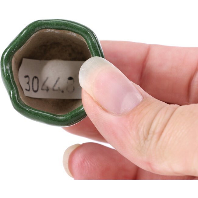 Hexagonal green bonsai pot - 30 x 30 x 30 mm