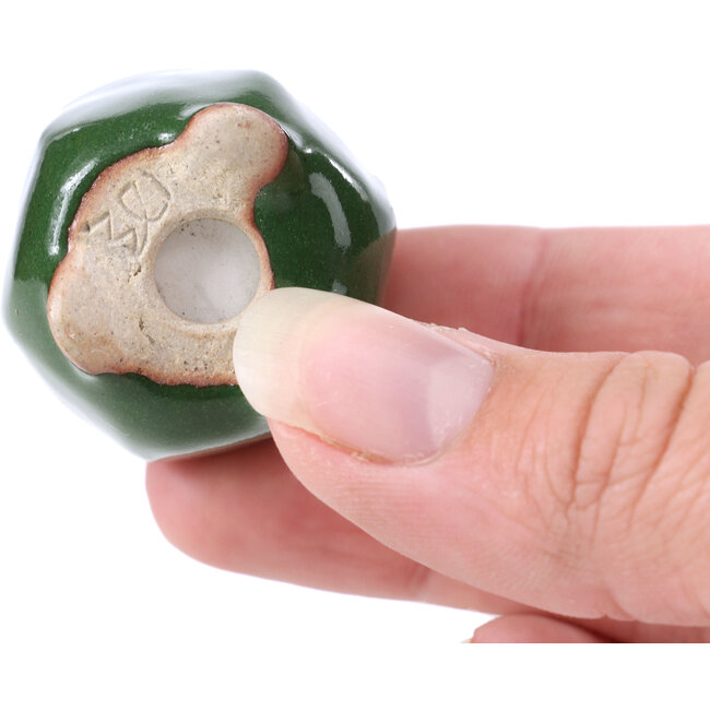 Vaso per bonsai esagonale verde - 30 x 30 x 30 mm