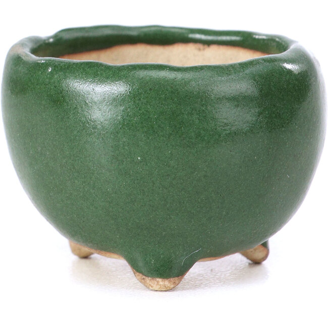 Maceta de bonsái verde redonda - 32 x 32 x 25 mm