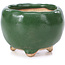 Vaso per bonsai rotondo verde - 32 x 32 x 25 mm