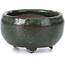 Round green bonsai pot - 45 x 45 x 25 mm