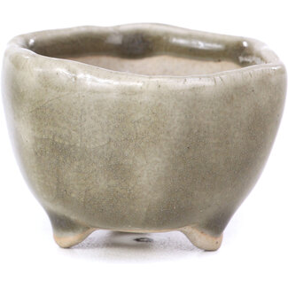  Other Tokoname bonsai pot makers Vaso esagonale grigio da 45 mm di Tokoname, Giappone