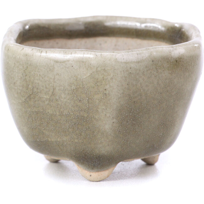 Maceta de bonsái gris hexagonal - 45 x 45 x 30 mm