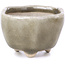 Zeshoekige grijze bonsaipot - 45 x 45 x 30 mm