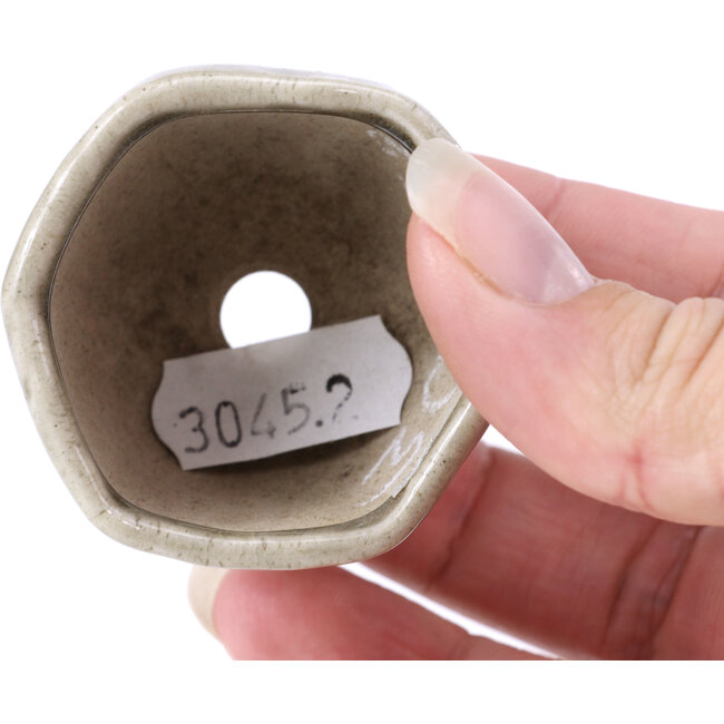 Pot à bonsaï hexagonal gris - 45 x 45 x 30 mm