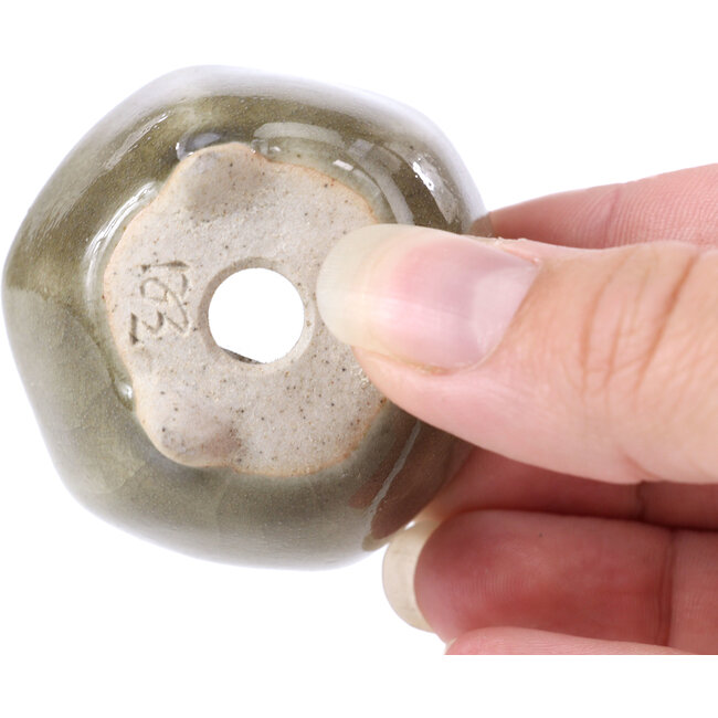 Zeshoekige grijze bonsaipot - 45 x 45 x 30 mm