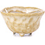 Vaso per bonsai rotondo beige - 45 x 45 x 25 mm