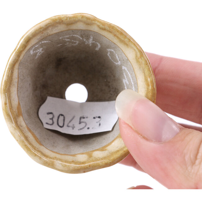 Maceta de bonsái redonda beige - 45 x 45 x 25 mm