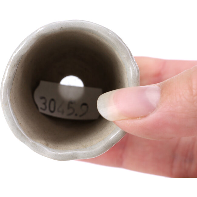 Ronde blauwe bonsaipot - 45 x 45 x 65 mm