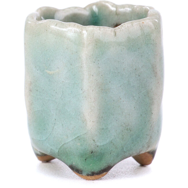 Vaso bonsai esagonale blu - 26 x 26 x 30 mm