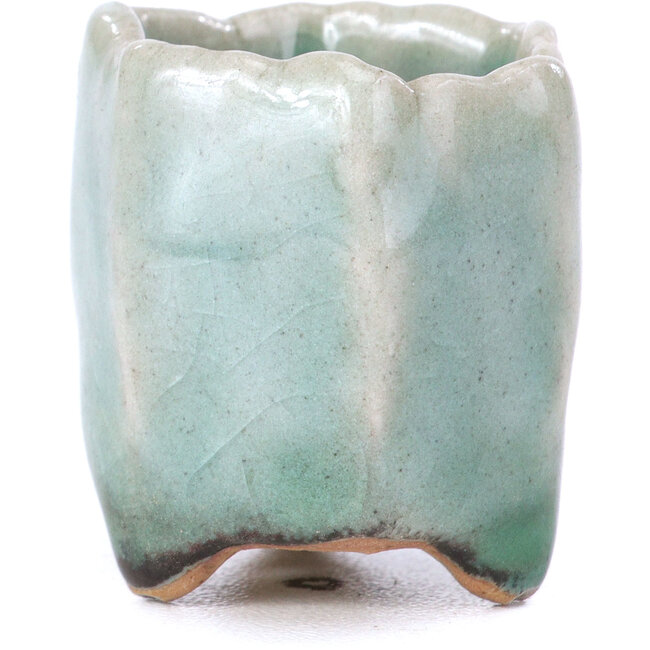 Maceta de bonsái azul hexagonal - 26 x 26 x 30 mm