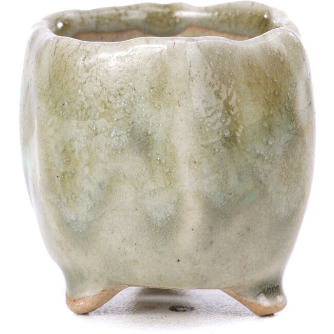 Pot à bonsaï hexagonal gris - 35 x 35 x 35 mm