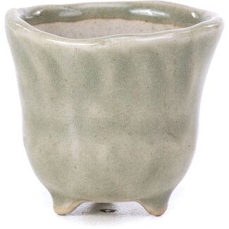  Other Tokoname bonsai pot makers Vaso tondo grigio da 40 mm di Tokoname, Giappone