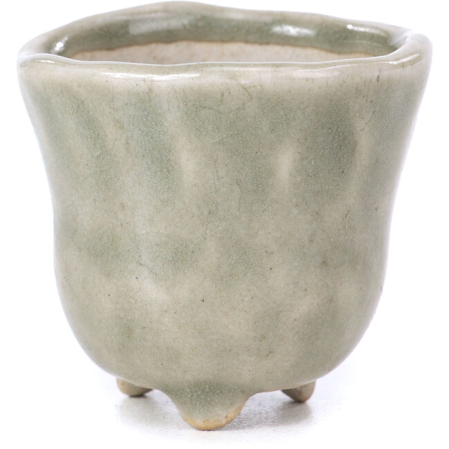 Vaso per bonsai tondo grigio - 40 x 40 x 40 mm