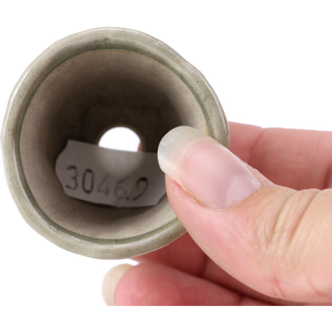 Ronde grijze bonsaipot - 40 x 40 x 40 mm