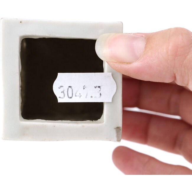 Pot à bonsaï carré gris - 50 x 50 x 95 mm