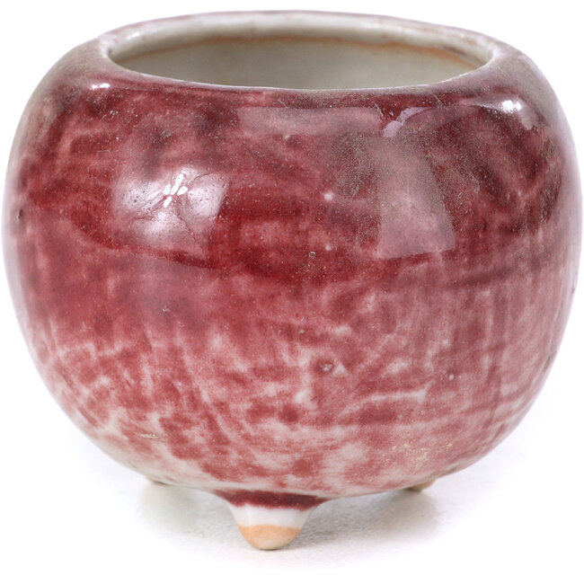 Round red bonsai pot - 50 x 50 x 40 mm