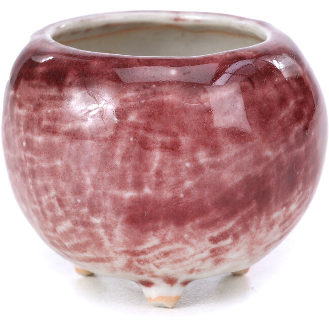 Round red bonsai pot - 50 x 50 x 40 mm