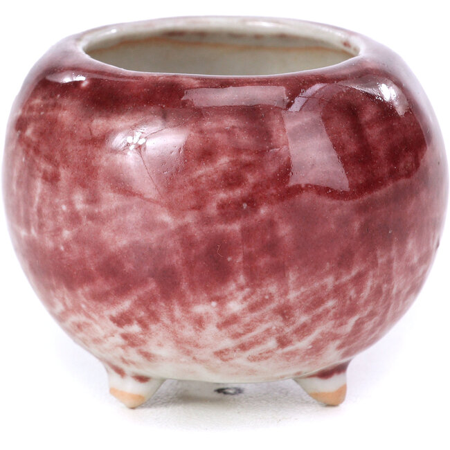 Maceta de bonsái roja redonda - 50 x 50 x 40 mm