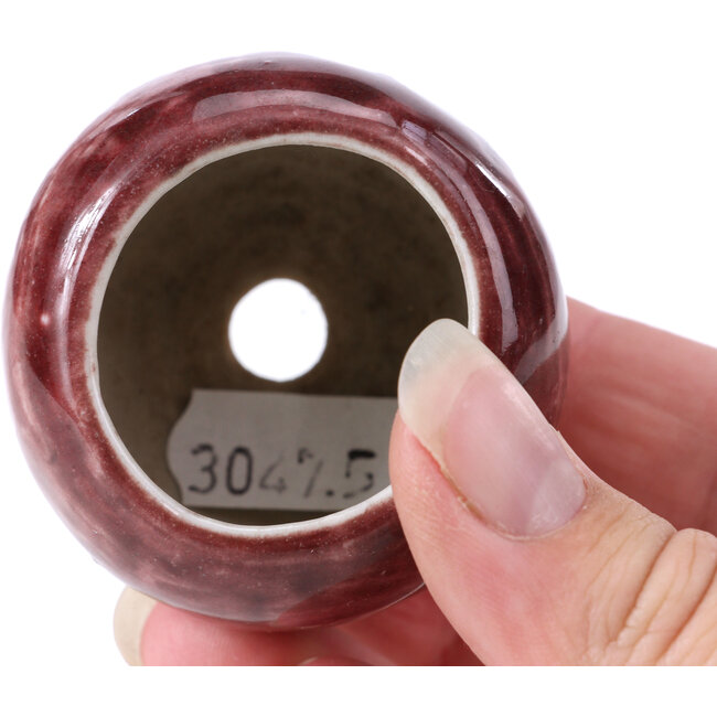 Ronde rode bonsaipot - 50 x 50 x 40 mm