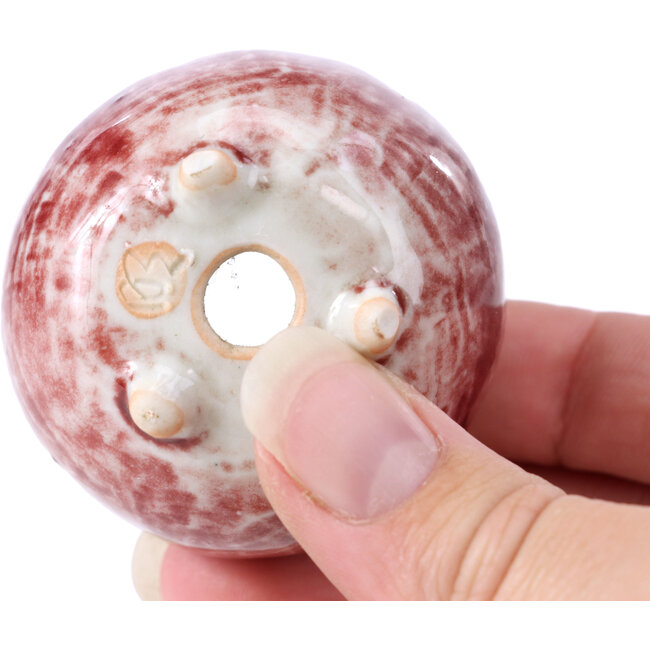 Ronde rode bonsaipot - 50 x 50 x 40 mm