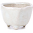 Vaso per bonsai esagonale beige - 45 x 45 x 30 mm