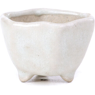  Other Tokoname bonsai pot makers Vaso esagonale beige da 45 mm di Tokoname, Giappone