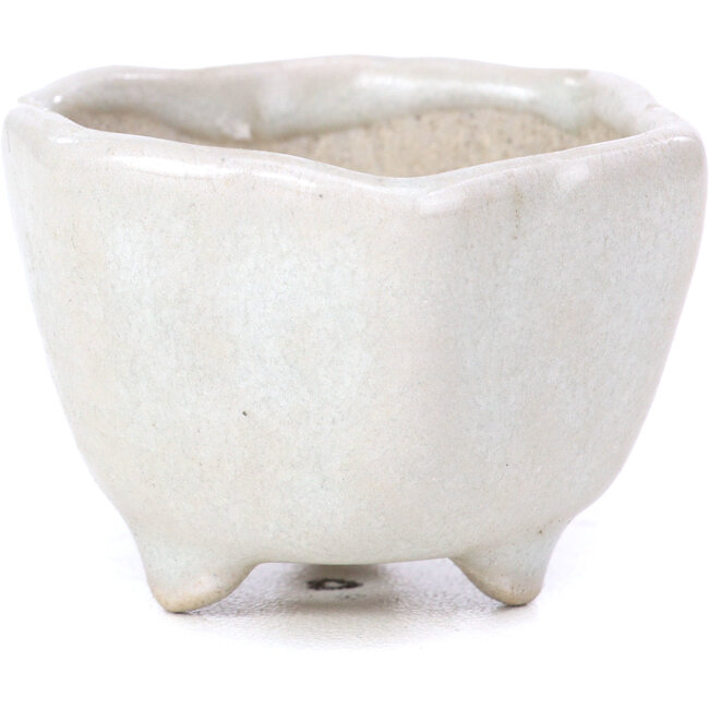 Hexagonal beige bonsai pot - 45 x 45 x 30 mm