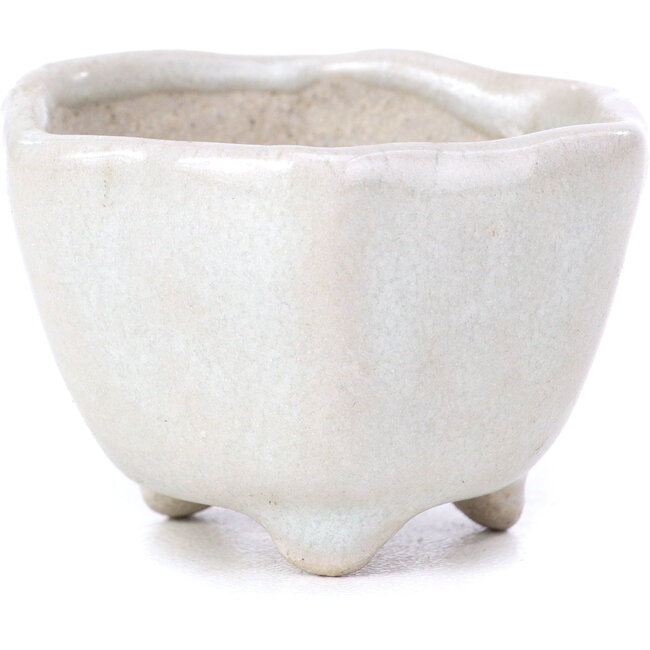 Vaso per bonsai esagonale beige - 45 x 45 x 30 mm